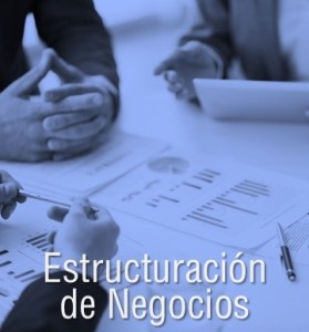 Estructuración de Negocios